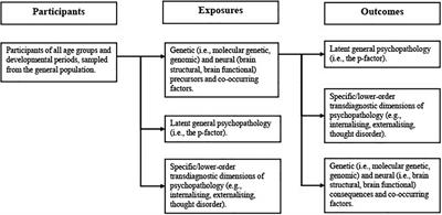 Investigating the molecular genetic, genomic, brain structural, and brain functional correlates of latent transdiagnostic dimensions of psychopathology across the lifespan: Protocol for a systematic review and meta-analysis of cross-sectional and longitudinal studies in the general population